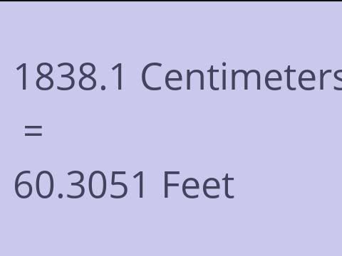 1838.1 CM TO FEET