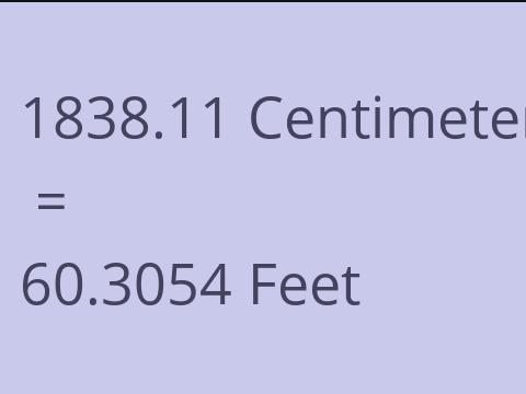 1838.11 CM TO FEET