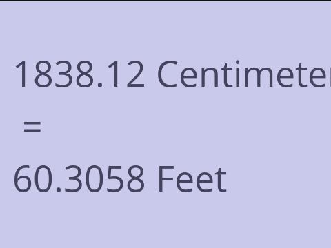 1838.12 CM TO FEET