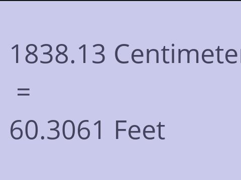 1838.13 CM TO FEET