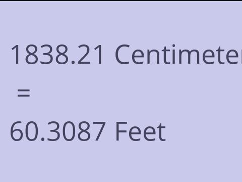 1838.21 CM TO FEET