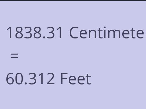 1838.31 CM TO FEET