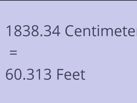 1838.34 CM TO FEET