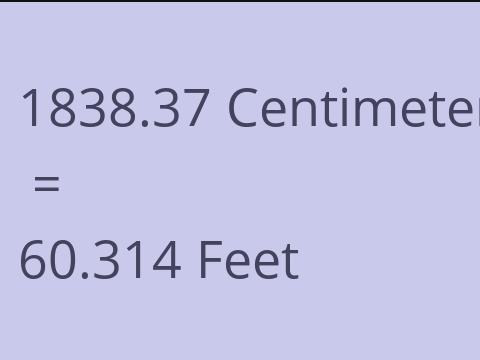 1838.37 CM TO FEET