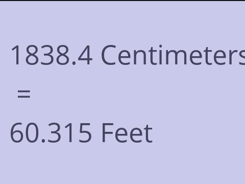 1838.4 CM TO FEET