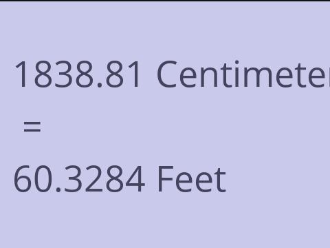 1838.81 CM TO FEET