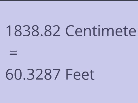 1838.82 CM TO FEET