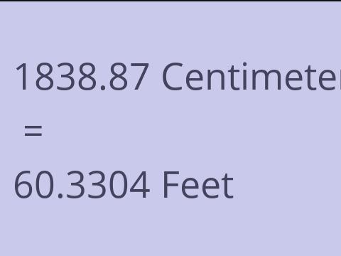 1838.87 CM TO FEET