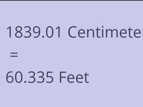1839.01 CM TO FEET