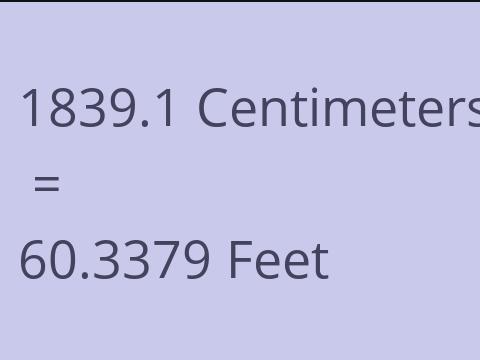 1839.1 CM TO FEET