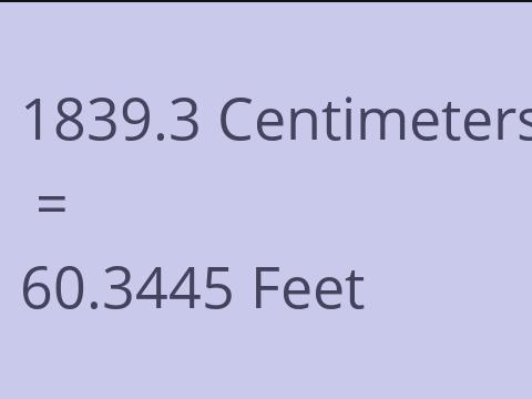 1839.3 CM TO FEET