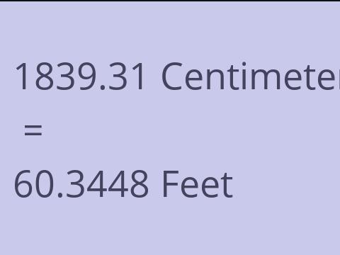 1839.31 CM TO FEET