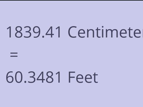 1839.41 CM TO FEET