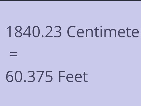 1840.23 CM TO FEET