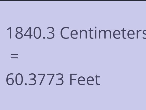 1840.3 CM TO FEET