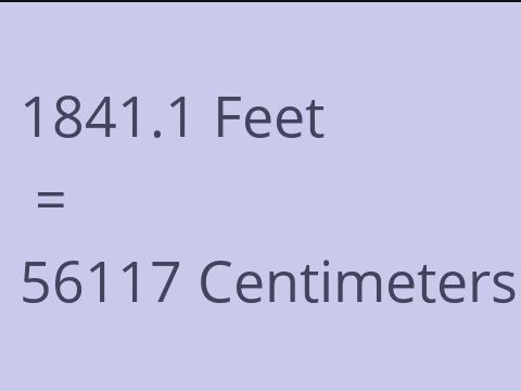 1841.1 FEET TO CM