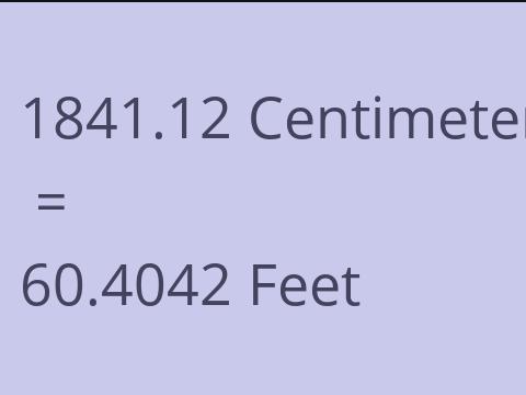 1841.12 CM TO FEET