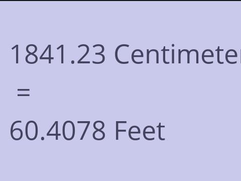 1841.23 CM TO FEET