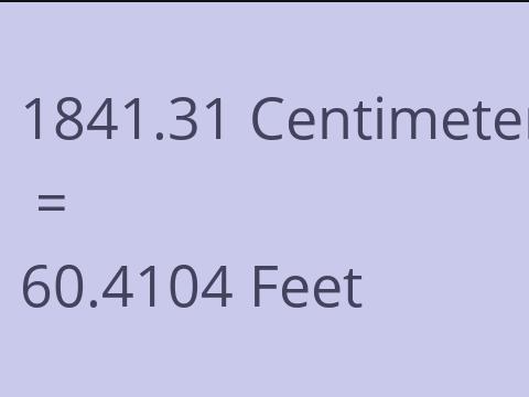 1841.31 CM TO FEET