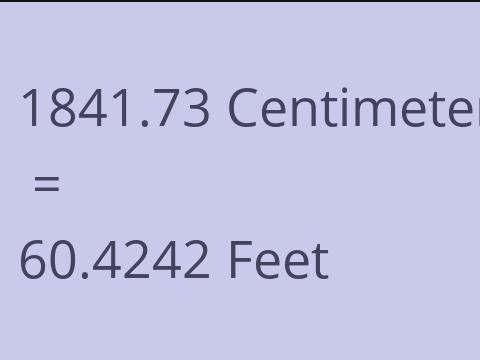 1841.73 CM TO FEET