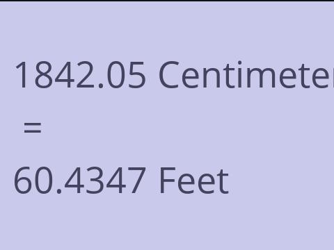 1842.05 CM TO FEET