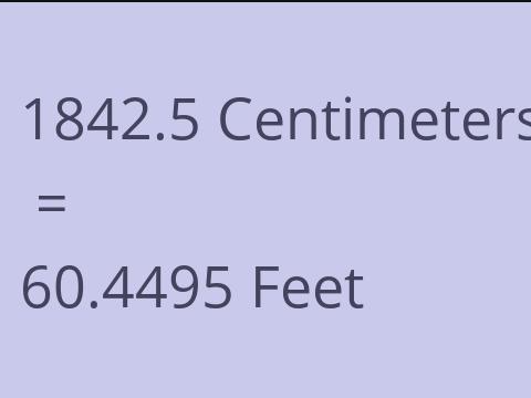 1842.5 CM TO FEET