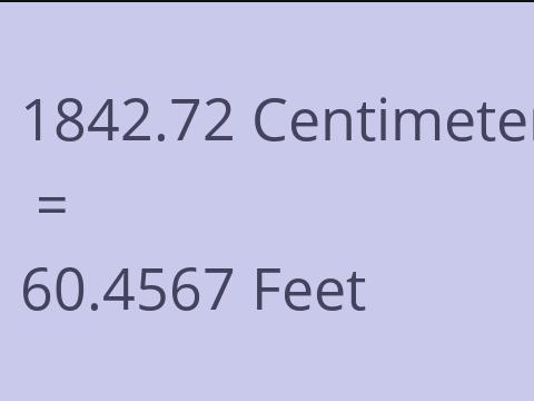 1842.72 CM TO FEET