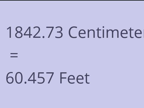 1842.73 CM TO FEET