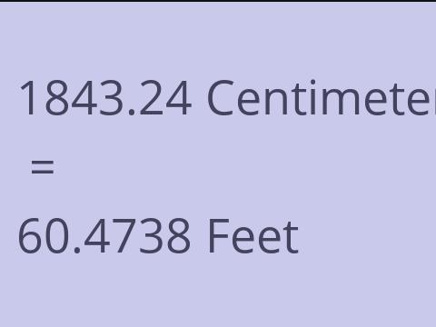 1843.24 CM TO FEET