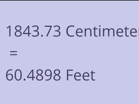 1843.73 CM TO FEET