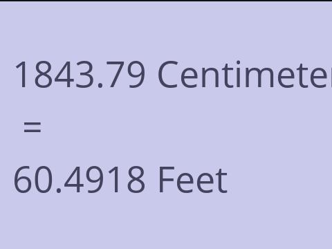 1843.79 CM TO FEET