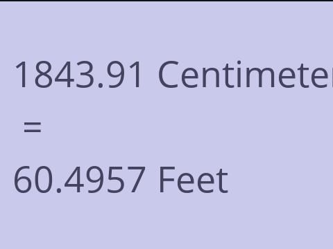 1843.91 CM TO FEET