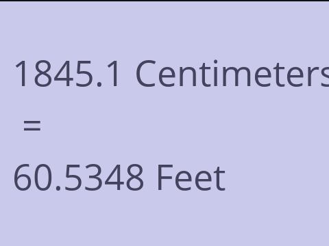 1845.1 CM TO FEET