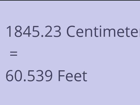 1845.23 CM TO FEET