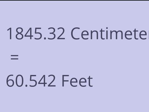 1845.32 CM TO FEET