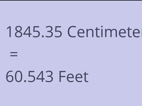 1845.35 CM TO FEET