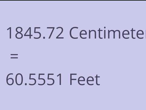 1845.72 CM TO FEET