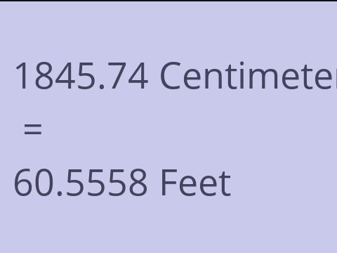 1845.74 CM TO FEET