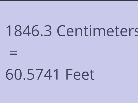 1846.3 CM TO FEET