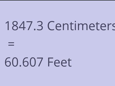 1847.3 CM TO FEET