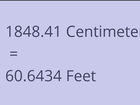 1848.41 CM TO FEET