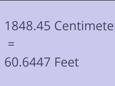 1848.45 CM TO FEET