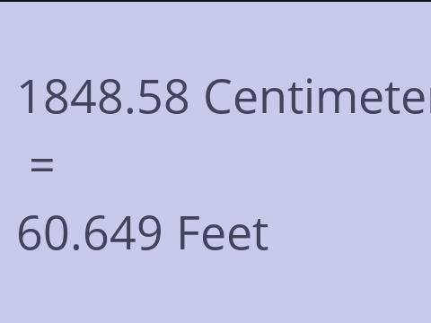 1848.58 CM TO FEET