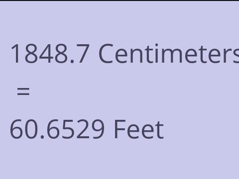 1848.7 CM TO FEET