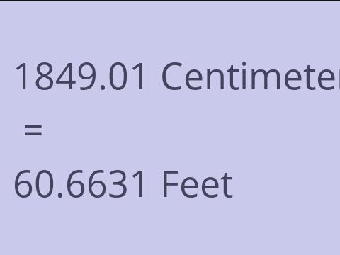 1849.01 CM TO FEET