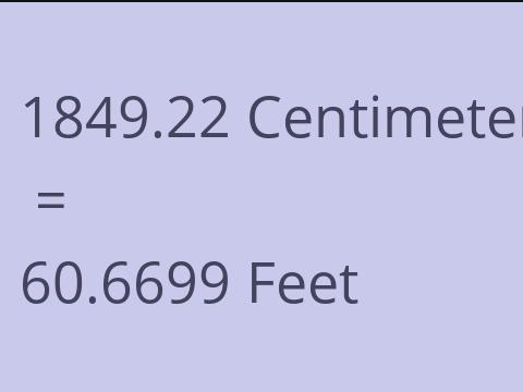 1849.22 CM TO FEET