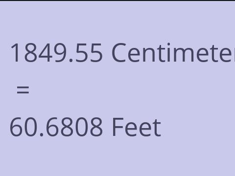 1849.55 CM TO FEET