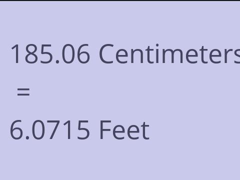 185.06 CM TO FEET