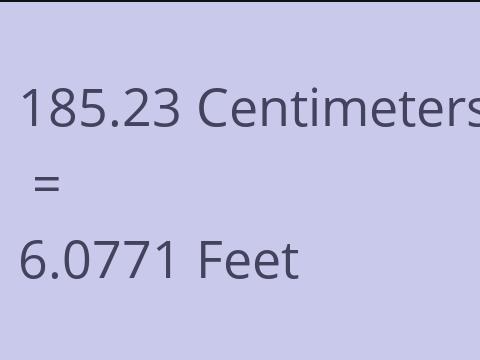 185.23 CM TO FEET