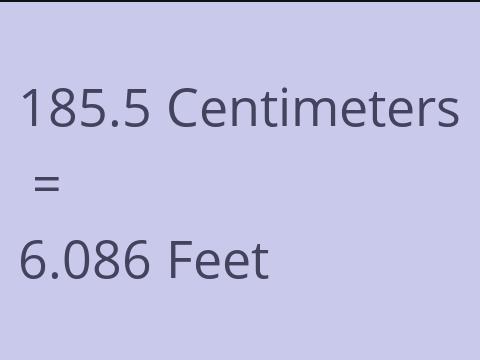 185.5 CM TO FEET